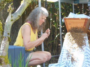 On my knees "conversating" with my bees.