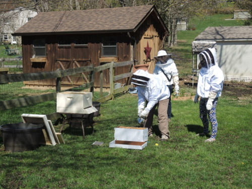Mentoring new beekeepers in my neighborhood