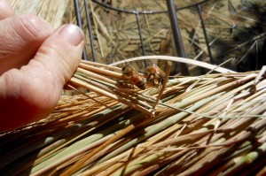Weaving outside on a sunny day, I find bees are always coming by to "lend a hand."