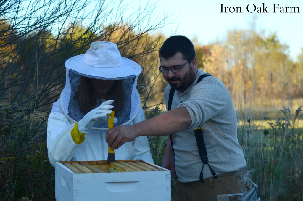 9 Ways Non-Beekeepers Can Help Pollinators Keeping Backyard Bees